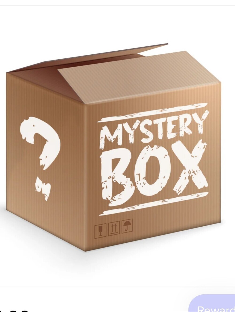 Mystery Box 5 Items Reseller Box Closet Clear Out